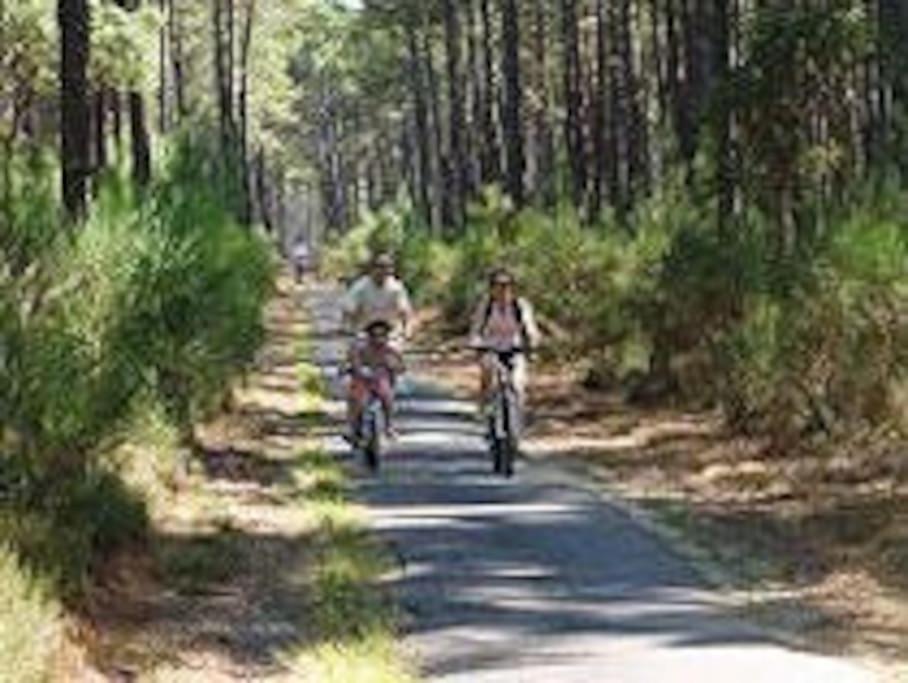 Maison De Vacances 4/5 Personnes A Leon, Landes Extérieur photo